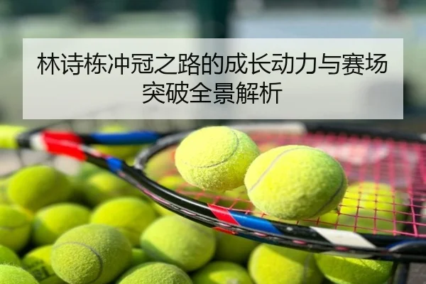 林诗栋冲冠之路的成长动力与赛场突破全景解析