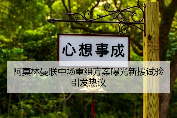 阿莫林曼联中场重组方案曝光新援试验引发热议