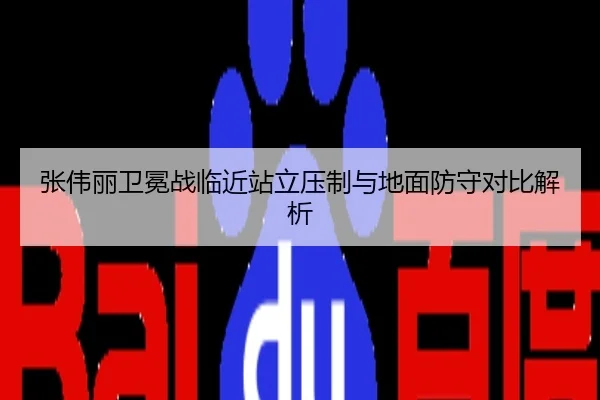 张伟丽卫冕战临近站立压制与地面防守对比解析